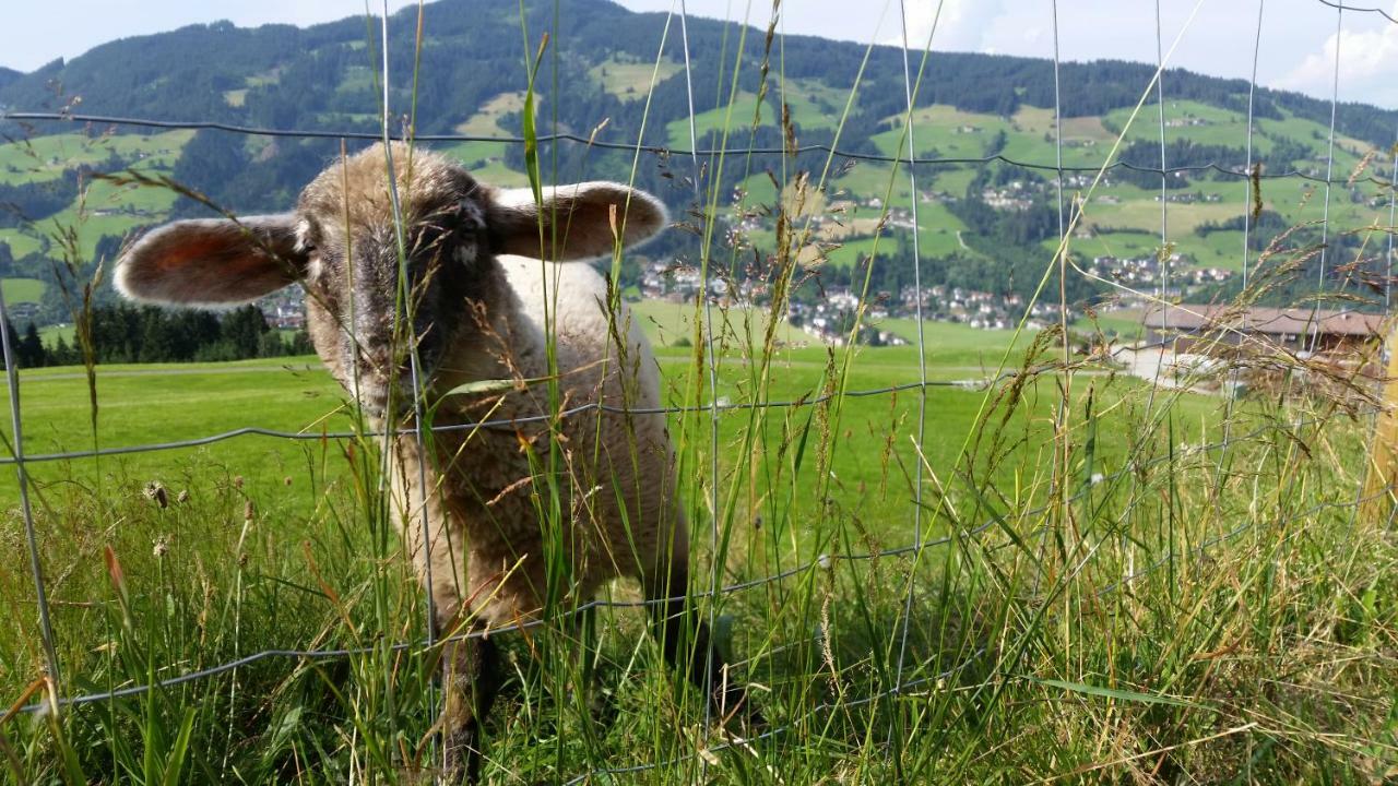 Gasthaus Obergaisberg เคิร์ชแบร์ก อิน ทิโรล ภายนอก รูปภาพ